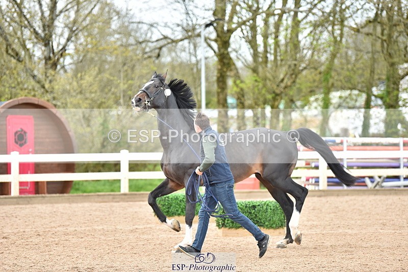 240417A-145250-00652 - 2pm to 3pm