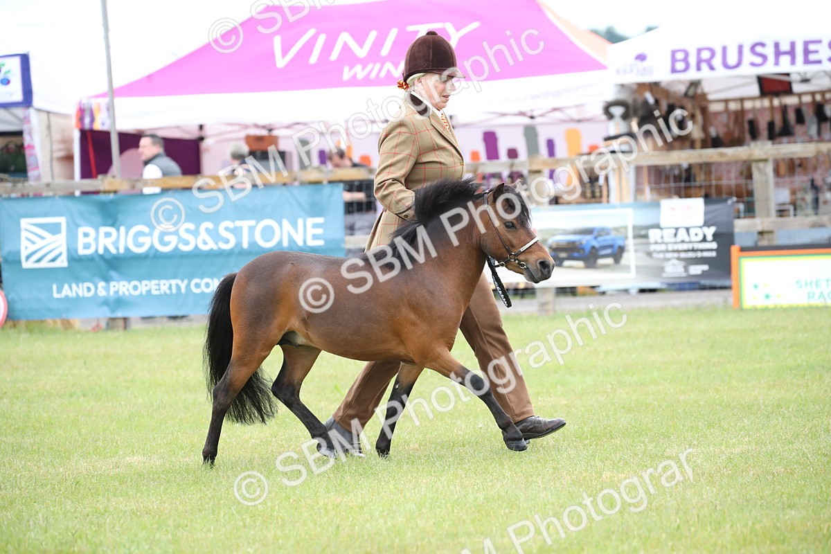SBM_03688 - Class 23-25 - British Miniature Horse of the Year