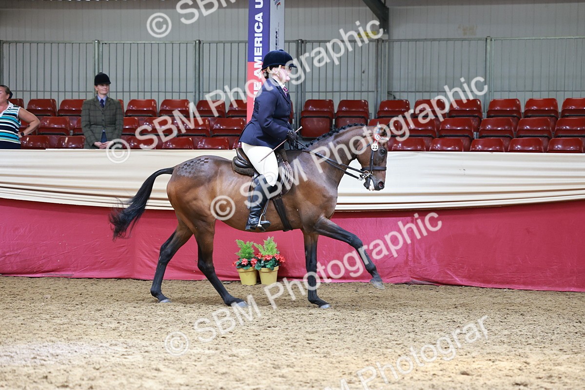 SBM_15006 - Class 108 - Ridden Retired Racehorse