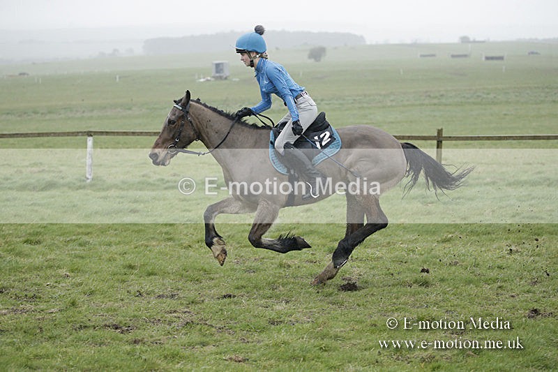 PtP 150320 0113 - New Forest Point-to-Point Larkhill 15/03/20