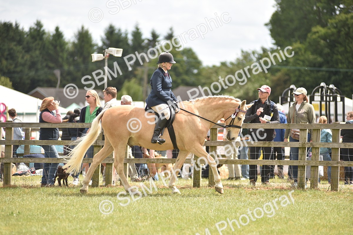SBM_15926 - Class 117-122 - SSADL RIHS Qualifier