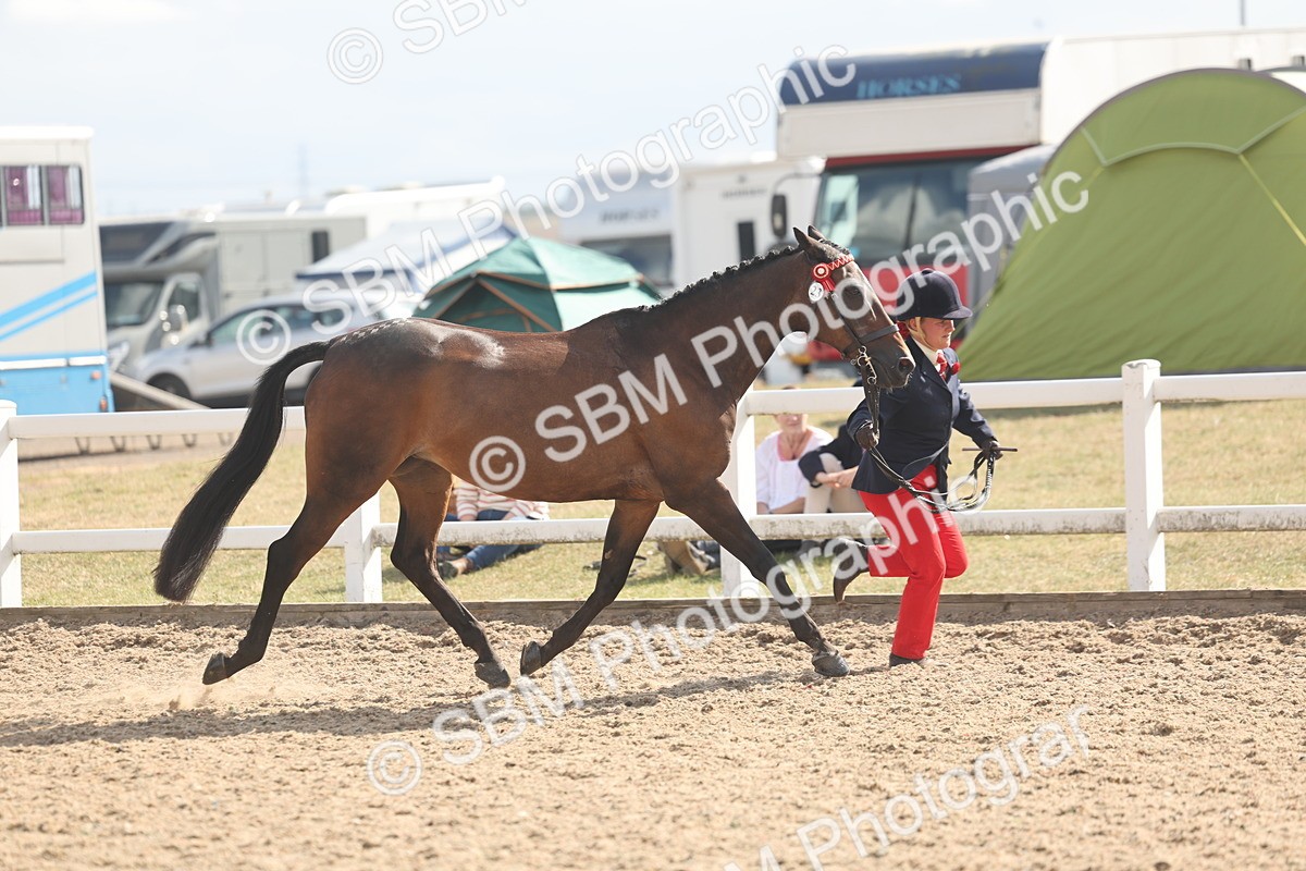 SBM_06852 - Class 25 - IH Foreign Breeds - Purebred