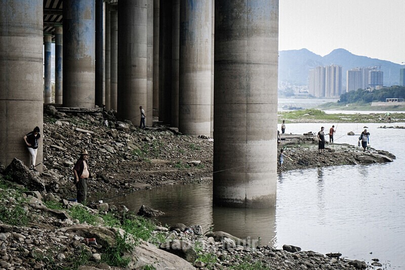  - Where the Wild Concrete Grows (China, ongoing)