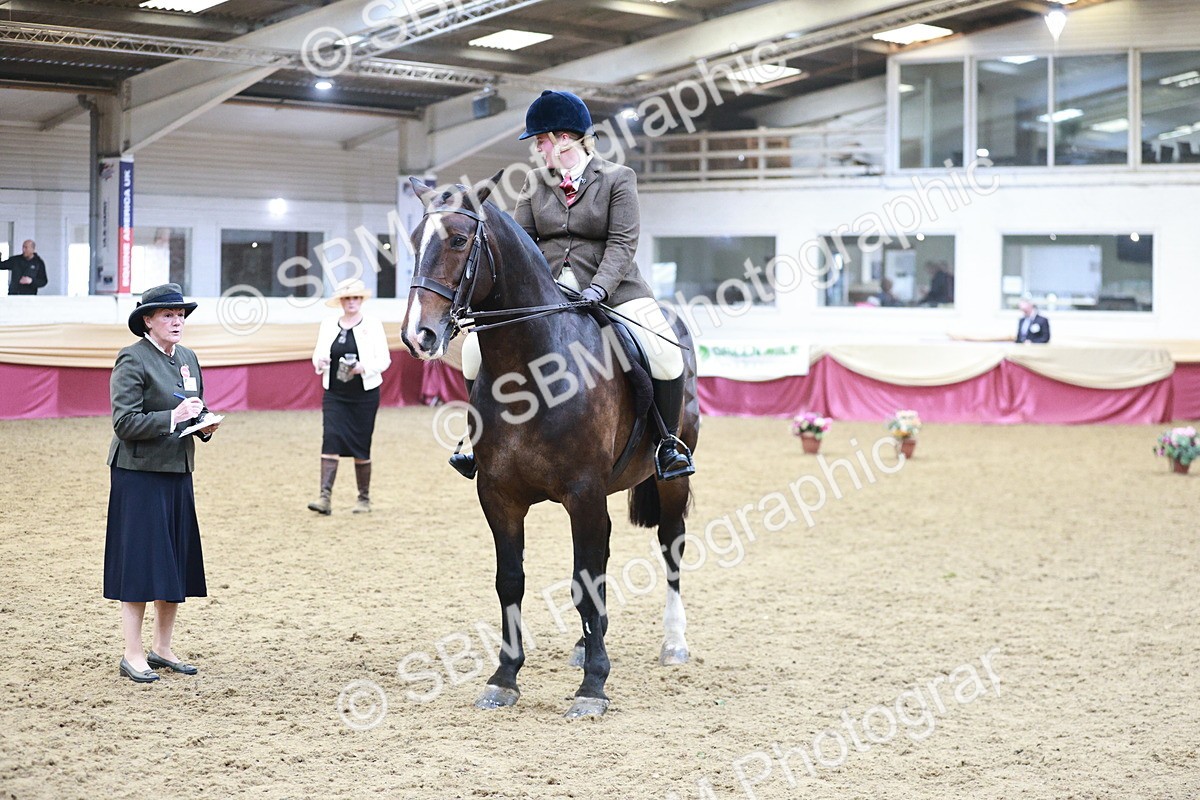 SBM_08847 - Class 12R - Regional Ridden Pre-Vet