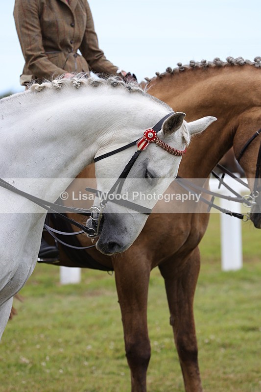 1X9A4455 - Class 34: Veteran Ridden