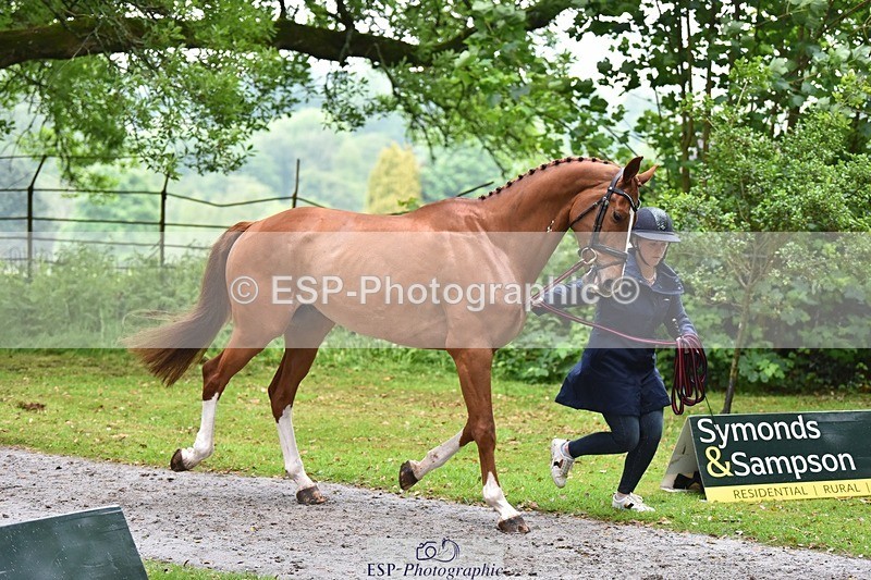 240522-165022-01190 - 263-CHILLI_MORNING_IV-Gemma_Stevens