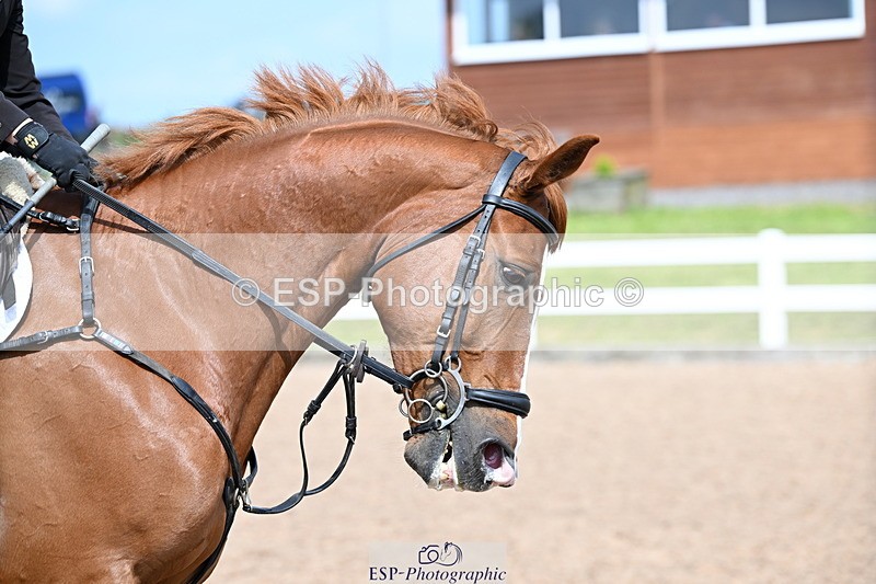 240605A-153813-00919 - Cls 5 Foxhunter and 1.20m Open