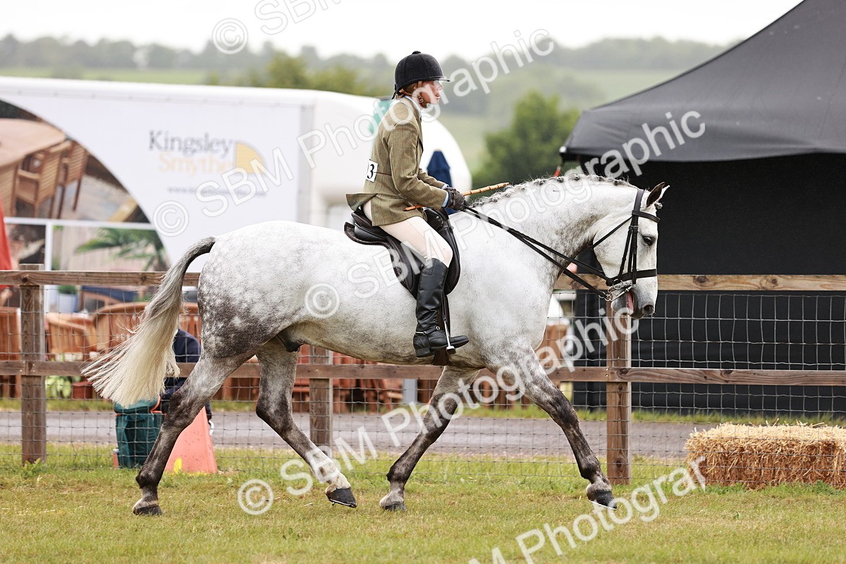 SBM_10748 - Class 81-84 - RIHS Ridden hunters Inc Ladies Hunter