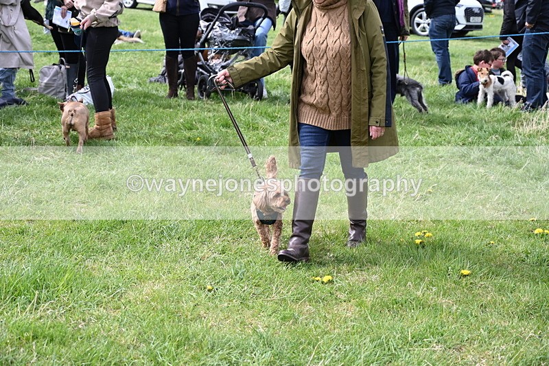 WJ6_8312 - Class 4 Prettiest Bitch