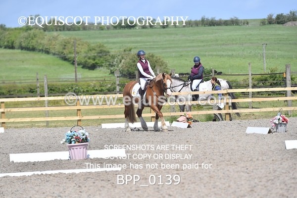 BPP_0139 - SHORT ARENA  MY QUEST PRELIM
