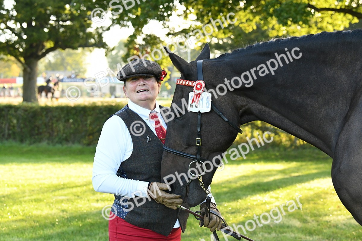 SBM_32624 - S15 - Condition & Turnout In Hand