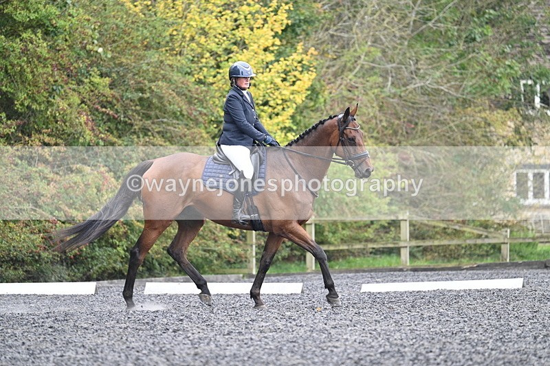 WJ7_4646 - Time 12:12 to 12:30