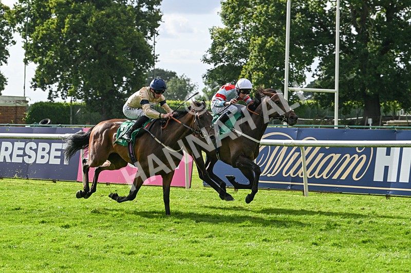 030824-Race 6-Night Breeze-1958 - Race 6