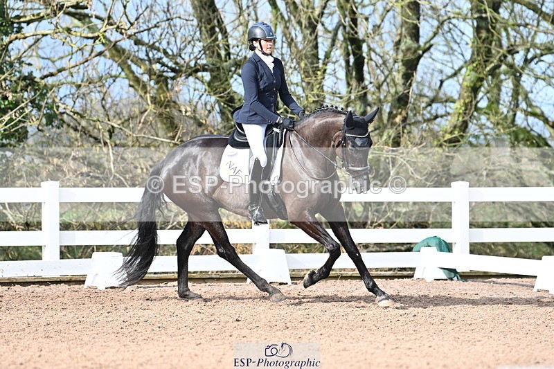 240218A-115845-06941 - 204-Elder.Klatzko-Dynasty.Hit