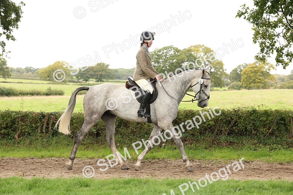 SBM_66275 - S66 - Hunter Ridden