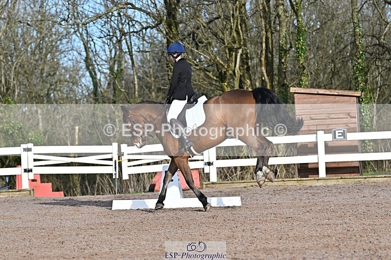 250125-104028-00211 - Dressage - CT Class 4 BE95 (80cm)