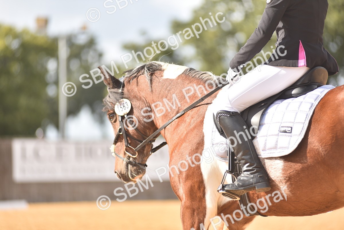 SBM_24248 - D4 - Small Tour Championship Intro 4