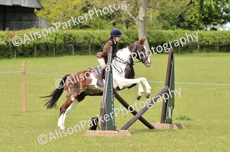 20260426-2403 - Class 21 - Working Hunter Ponies