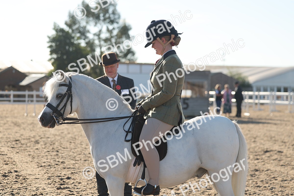 SBM_10910 - Class 301 - Ridden M&M Small Breeds