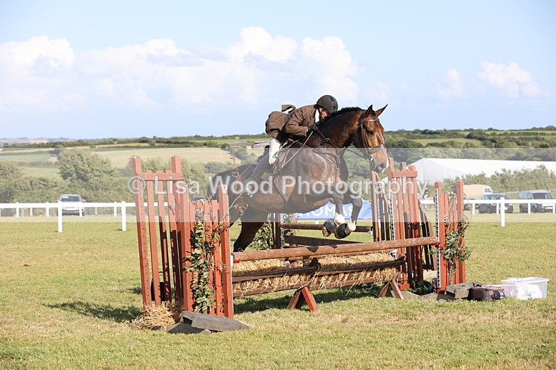 JPP_3094 - Class 21: Working Hunter 80cm