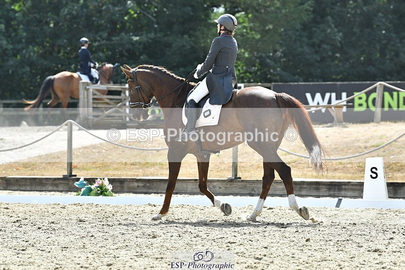 260802A-152310-07385 - Intermediate Bronze