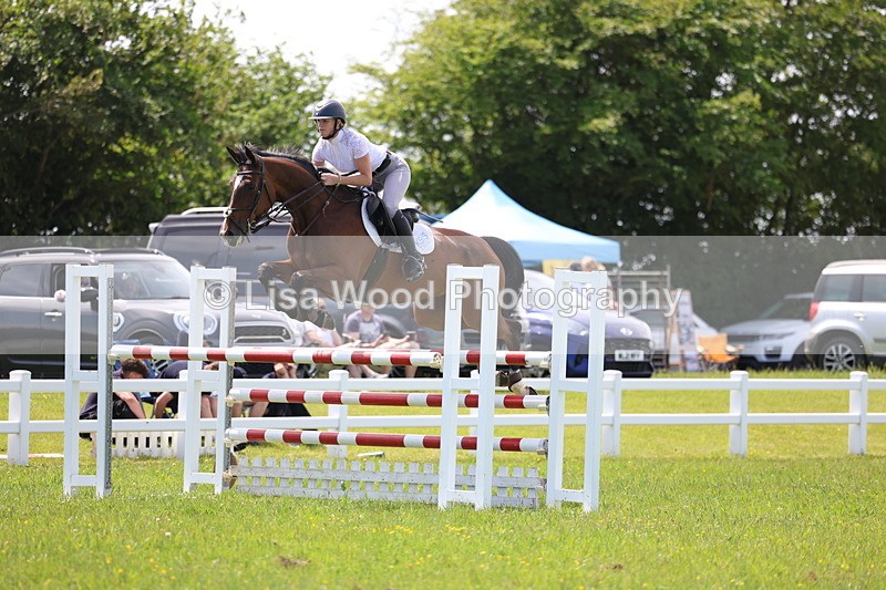 3E7A1362 - Class 12: Senior Foxhunter/1.20 open