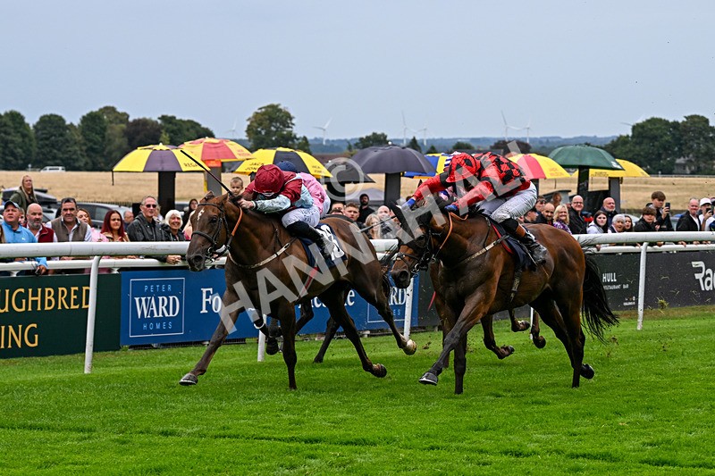 290826-Race 5-Supreme Clarets-7392 - Race 5 4.10pm Churchill Tyres Handicap