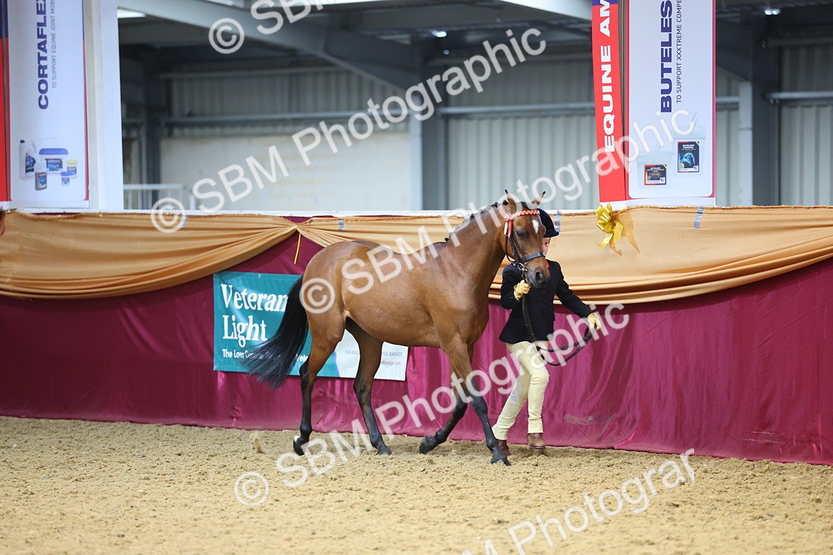 SBM_22629 - Class 903 - Supreme Final - IH Pre Vet