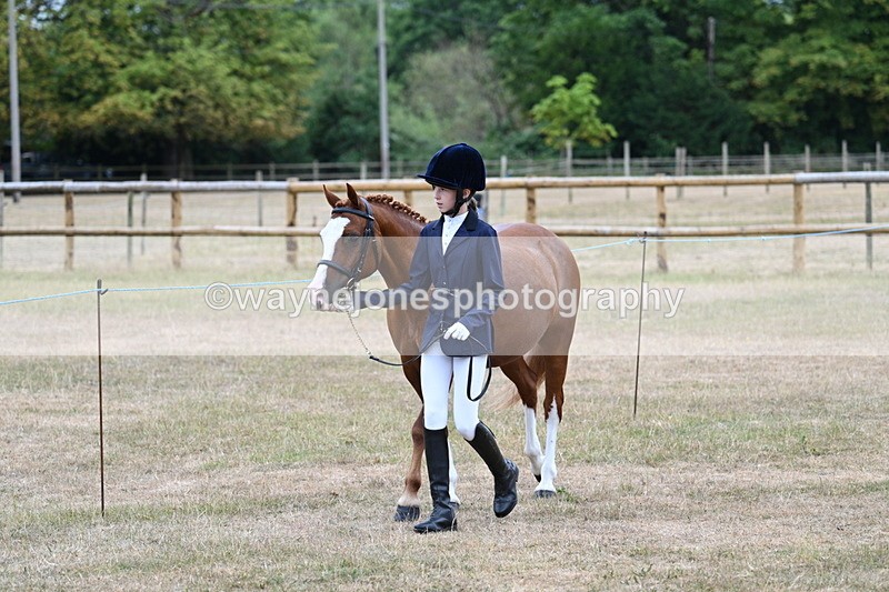 WJ7_7995 - Class 4 Prettiest Mare up to 14.2hh