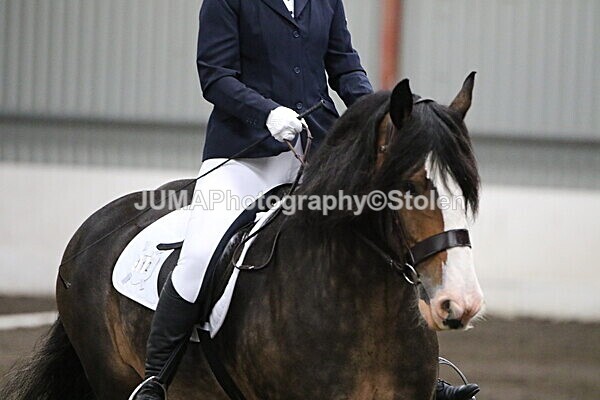 SIAL4137 - CAbin Dressage 5th july 2025