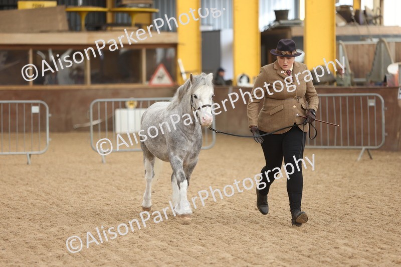 20251109-0639 - Class 22 - Geldings 4 Years and over