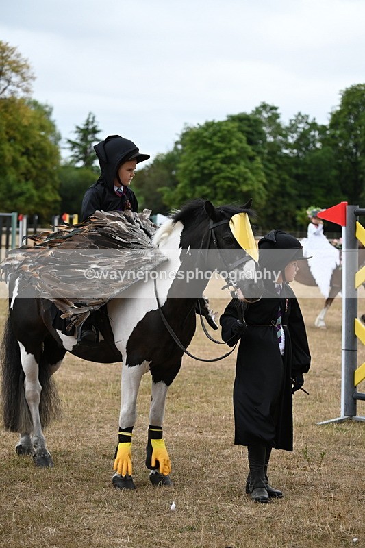 WJ6_8953 - Class 11 Fancy Dress