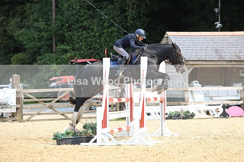 3E7A1600 - Class 4: Senior British Novice/90cm open