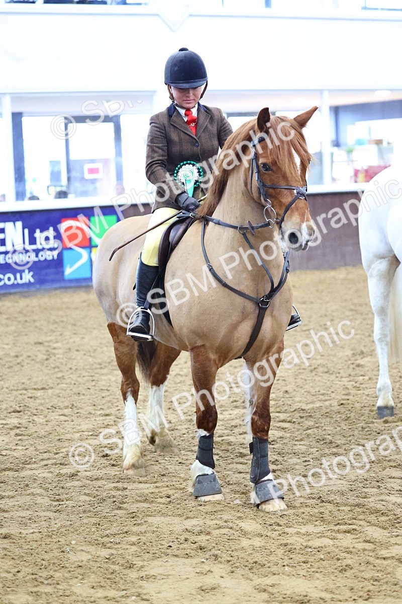 SBM_003693 - Class 37 - 80cm Training Stakes