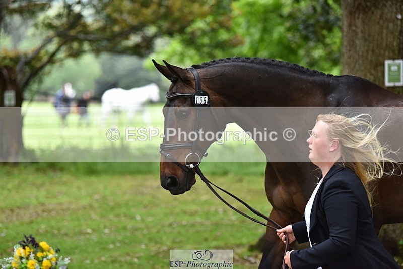 240522-155452-00582 - 165-RIDIRE_DORCHA-Lucy_Stimson