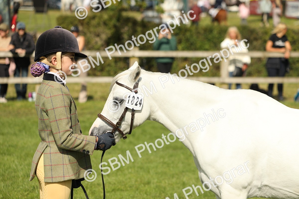 SBM_68597 - S40 - Junior Handler 9-12 Years