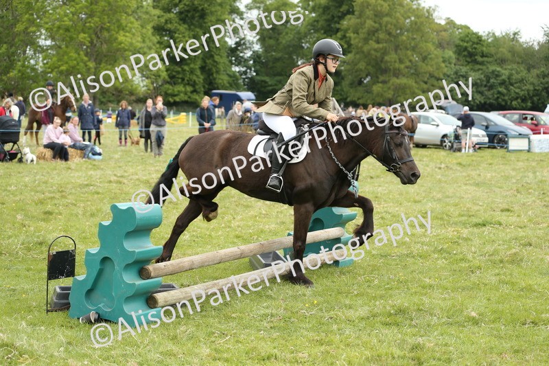 20250517-1018 - Class 21 - Novice Working Hunter