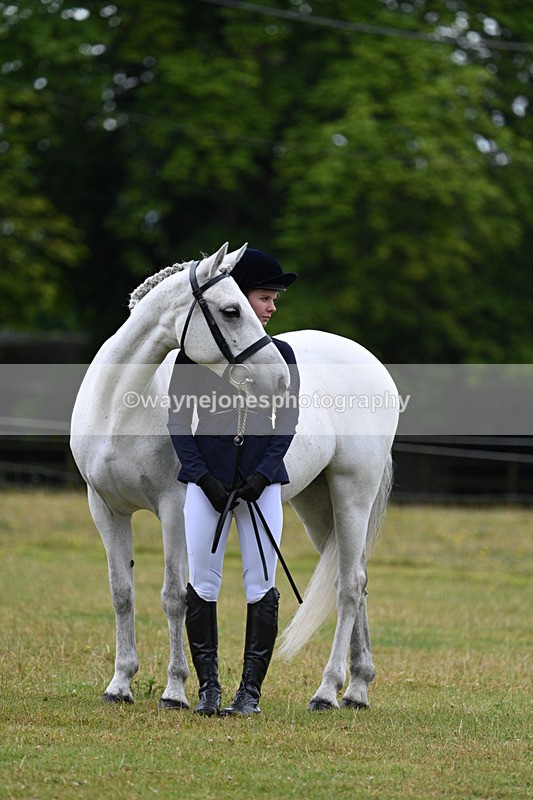 WJ7_6354 - Class 4a Prettiest Mare over 14hh