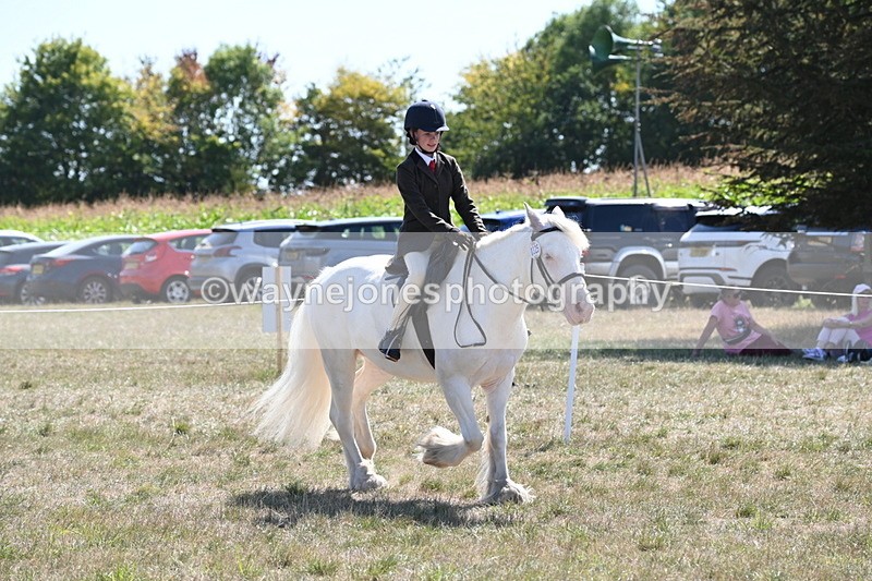 WJ6_8973 - Class 38 Ridden Riding Horse/Pony