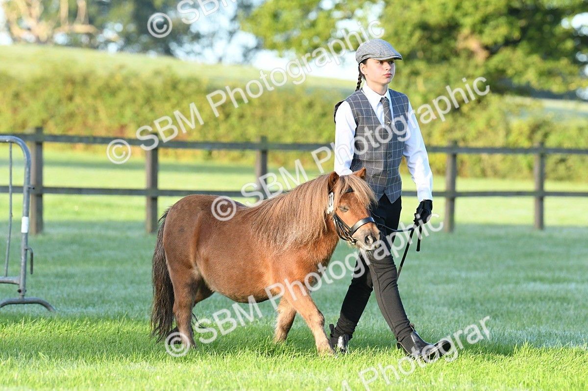 SBM_32472 - S15 - Condition & Turnout In Hand