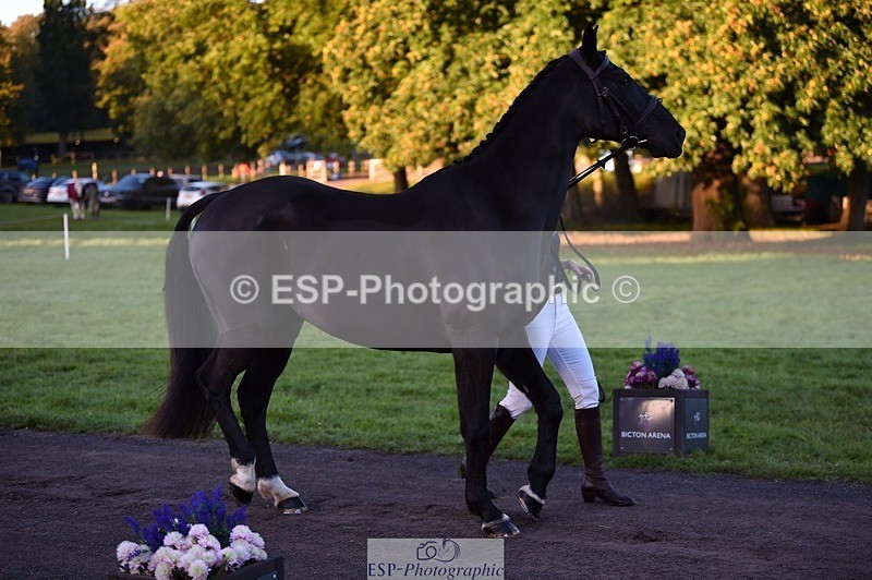 231022-083400-21232 - 666-PENDAN.NEVADA-Hannah.Tweedy-TrotUp+SJ