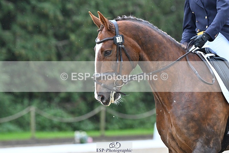 231019-114121-02214 - 110-MARTINS.IRISH.EDDIE-Allegra.Cowley-DR
