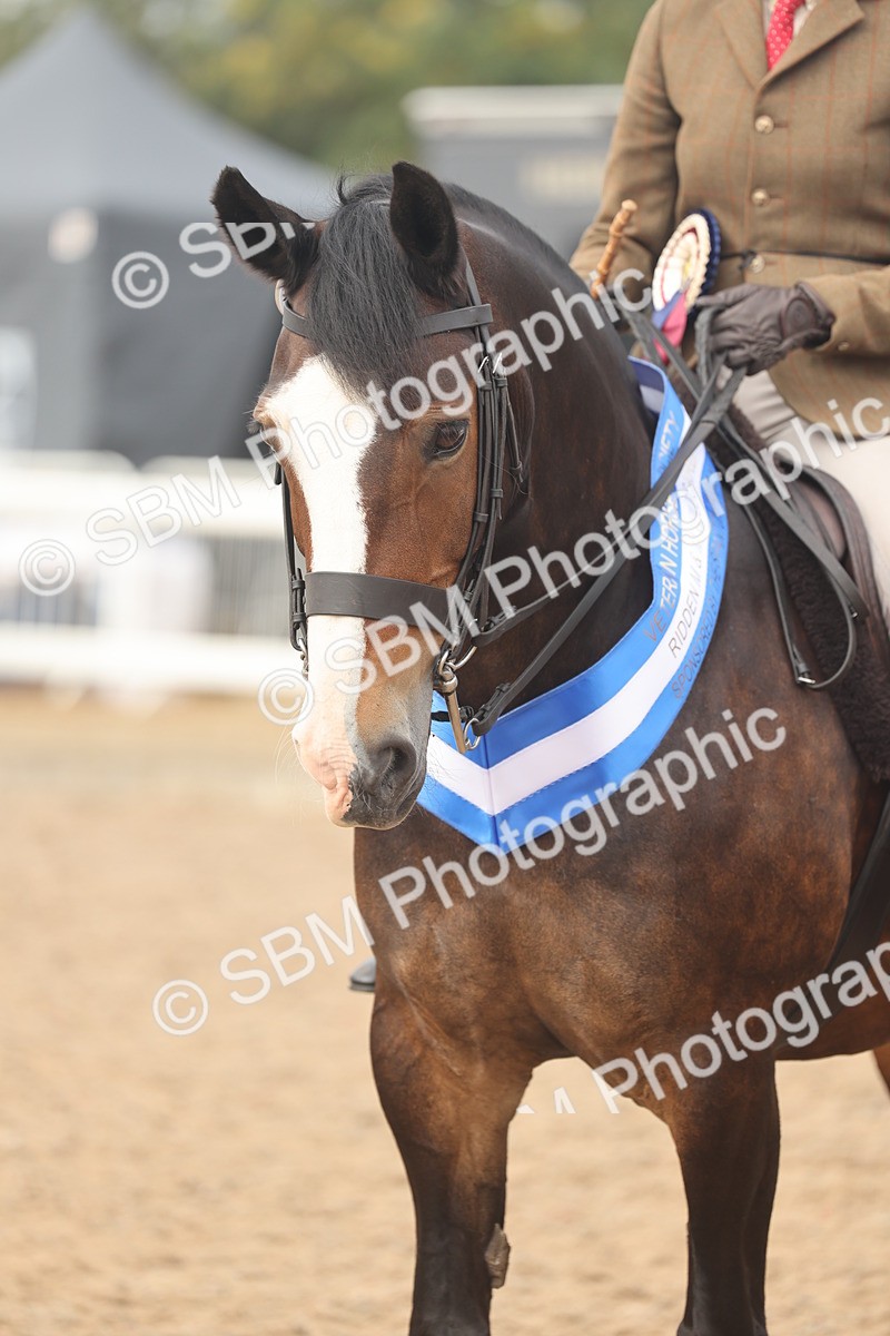 SBM_02027 - Class 14 - Ridden M&M Wildcard