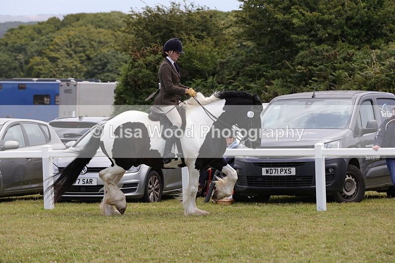 1X9A4512 - Class 34: Veteran Ridden