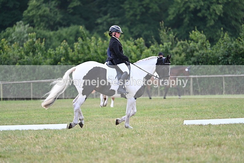 WJ7_5265 - Time 11:22 to 11:51