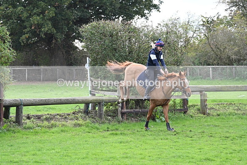 WJ7_9598 - Time 13:13 to 13:55