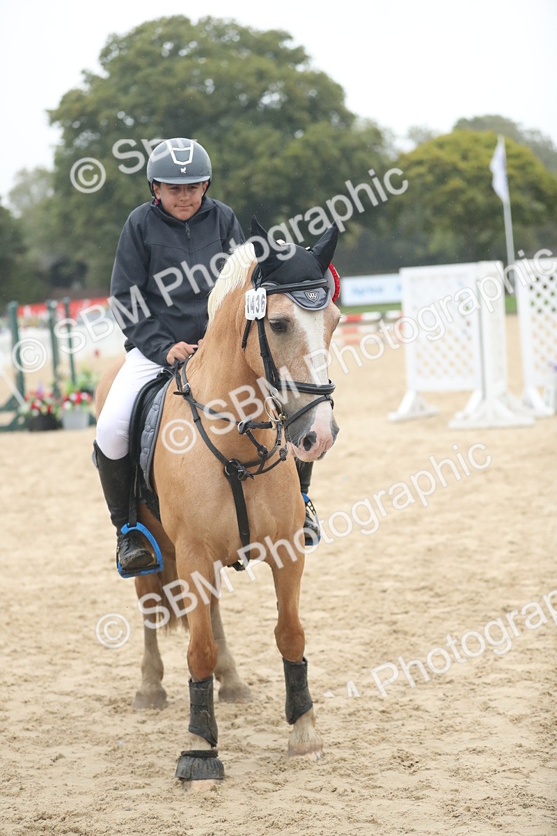 SBM_74316 - Supreme championship Junior Pony 70cm 75cm