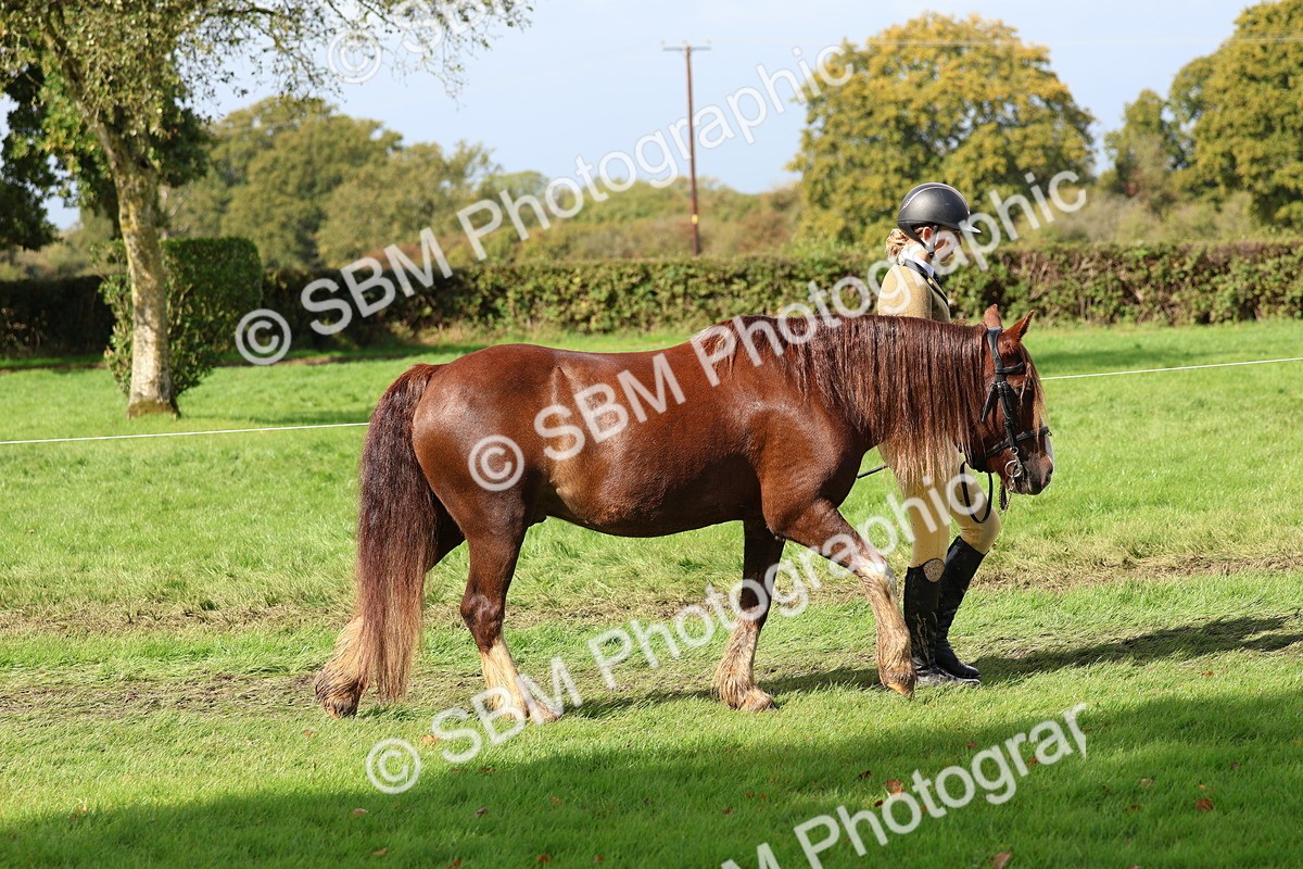 SBM_39399 - S24 - Young Veteran In Hand
