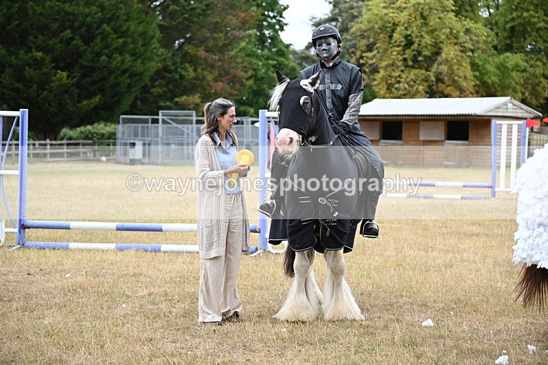 WJ6_9035 - Class 11 Fancy Dress