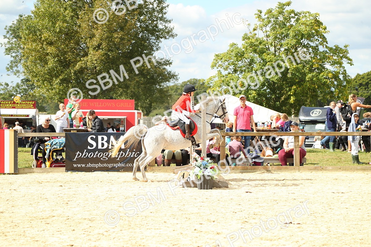 SBM_41353 - J6 - Junior Pony 55cm Championships